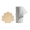 Unfinished Wooden Seashell Cutout, 12", for Summer Decor & Crafts | Woodpeckers